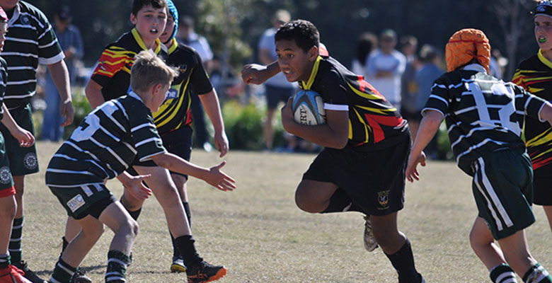 Rugby News - Juniors